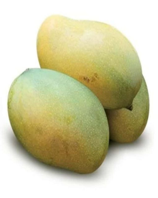 mango-amrapali