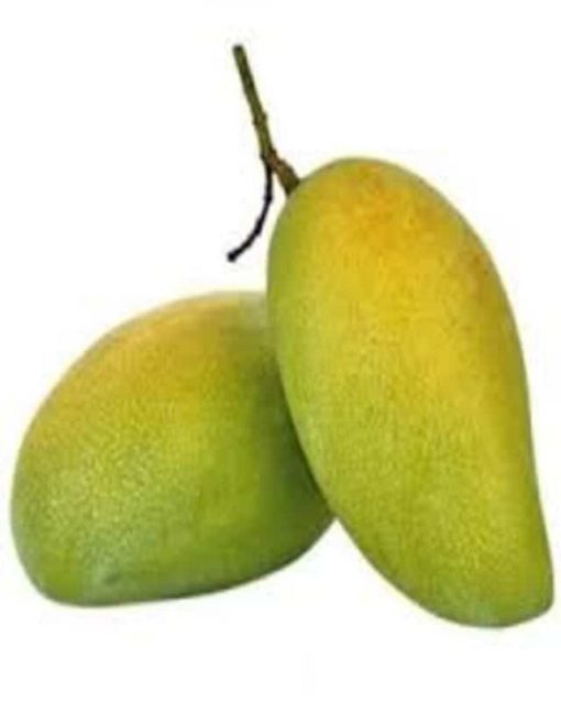 mango-amrapali